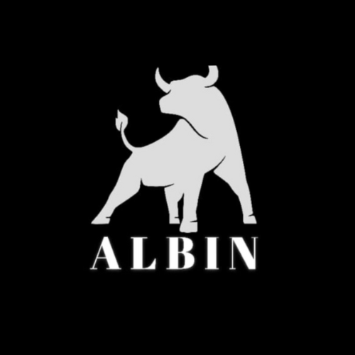 Albin Fashion logo